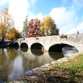 Ribnica